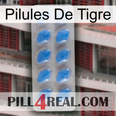 Tiger Pills 22